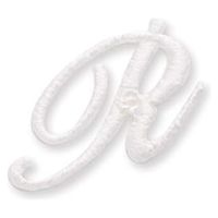 パイオニア アルファベット 花文字ワッペン (O) E81-08045 1セット(3袋)（直送品）