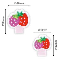 パイオニア 名札付けアップリケ【いちご】大小各1個付き RG400-25006 1セット(3袋)（直送品）