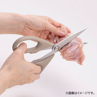 【アウトレット】貝印 キッチンバサミ ベージュグレー 000DH6305 1個