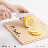 貝印 フルーツナイフ 果物 包丁 120mm セレクト100 ムーミン 000AB5079 1個