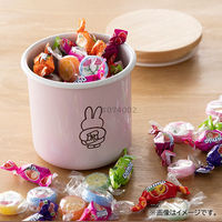 富士ホーロー キャニスター 保存容器 琺瑯 9cm ピンク ミッフィーパステル MFPー9CN.P 1個