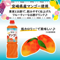 業務用フルーティス　りんご酢マンゴー（6倍濃縮タイプ）1000ml 3本 ミツカン 希釈用