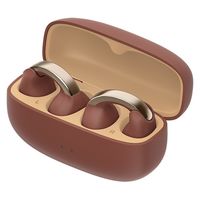 JVCケンウッド イヤーカフ型ワイヤレスイヤホン HA-NP1T HA-NP1T-T 1個（直送品）