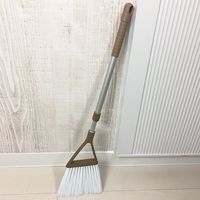 日本クリンテック CLEAN TIMES スキマもすっきり掃けるホーキ 4534374001722 1個（直送品）