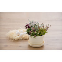 リッチェル ひよっこ ポット 6号 4945680703451 1個（直送品）