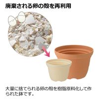 リッチェル ひよっこ ポット 7号 4945680703475 1個（直送品）