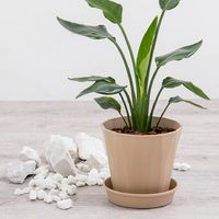 リッチェル ラピス ポット 20型 4945680705615 1個（直送品）