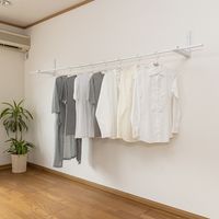 積水樹脂 セキスイ 壁面用 取付ものほし HTM-2 1個（直送品）