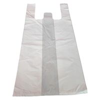 プラテック 手さげポリ袋 (S)30号 UN-3010 1パック(100枚入)（直送品）