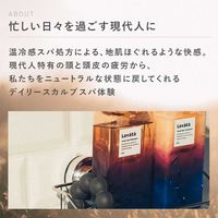 levata（レバタ）　スカルプスパブラシ　マンダム