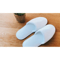 マテックス 使い捨てスリッパ プレミアム SPR-100 2201000173734 1セット(100足入)（直送品）