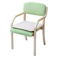 ファミリー・ライフ 立ち座りサポートチェア メッシュクッション2枚付 グリーン 0427420 1セット(2脚入)（直送品）