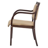 ファミリー・ライフ 立ち座りサポート ダイニングチェア メッシュクッション2枚付 ベージュ 0430311 1セット(2脚入)（直送品）