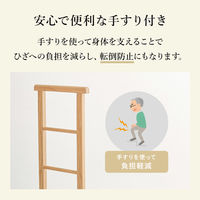 【軒先渡し】萩原 手摺り付き玄関踏み台 MFD-6909DBR 1台（直送品）