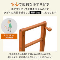 【軒先渡し】萩原 手摺り付き玄関踏み台 VH-7938LBR-W 1台（直送品）