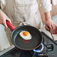 Tーfal（ティファール）4点セット クランベリー フライパン ガス火専用 kari4905314154332 1個