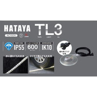 畑屋製作所 LEDテープライト 3m 片面発光タイプ 600ルーメン 屋外用防雨型 IP55 TL3 1個（わけあり品）