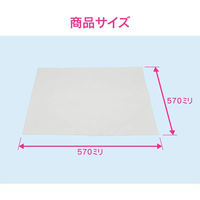 カクダイ GAONA GA-KW036 エアコンフィルター 570×570 1セット(2枚)（わけあり品）