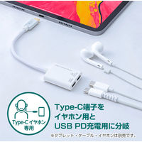ナカバヤシ TypeーC　PD対応　イヤホン変換ケーブル　ホワイト SADーCE05PW 1個