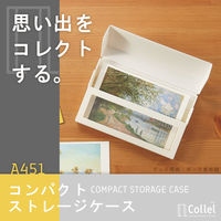リヒトラブ リヒト Collel コンパクトストレージケース コングレスケース ファイルケース チケット A6 ホワイト A451-0 1冊（直送品）