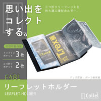 リヒトラブ リヒト Collel リーフレットホルダー ファイル パンフレット収納 蛇腹ポケット コンパクト ホワイト F481-0 1冊（直送品）