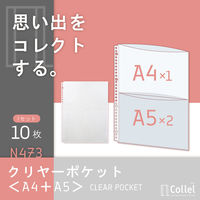 リヒトラブ リヒト Collel クリヤーポケット<A4+A5> ファイル 交換ポケット パンフレット収納 A4 N473 1組（直送品）