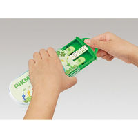 スケーター TACC2AG 抗菌 食洗機対応 スライド式トリオセット 【ピクミン】 675669-TACC2AG 1個（直送品）