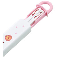 スケーター ABS2AMAG 抗菌食洗機対応スライド箸&箸箱セット 【こびとづかん カクレモモジリ】 678592-ABS2AMAG 1個（直送品）