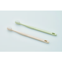 歯ブラシ 紙包材フォレストシリーズ シオンアルファH35 極細植毛 ナチュラル 1箱（250本）ダイト