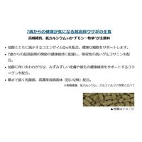 バニーセレクション うさぎ用 スーパーシニア 国産 1.3kg 1袋 イースター