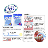 まいにちフロス 120本 エビス デンタルフロス
