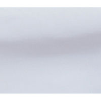 MONTBLANC（モンブラン） ドクターコート レディス 長袖 白 4L MD501-01 1枚（直送品）