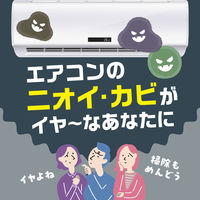 エアコン掃除 防カビ らくハピ エアコンのニオイ・カビオールアタック 110ml 1個 アース製薬