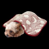 ドギーマンハヤシ あったかプラス ブランケット S ムーンナイト ワインレッド 91458 1個（直送品）