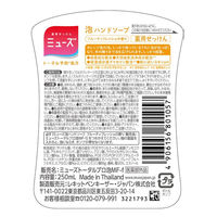 ミューズ 泡ハンドソープ フルーティフレッシュの香り 本体 250ml 【泡タイプ】 643617 1ケース(250ML×24個)（直送品）