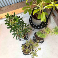 東洋ケース プランタースタンド 和柄プランタースタンド Sサイズ 直径15cm 千鳥 423711 1個（直送品）