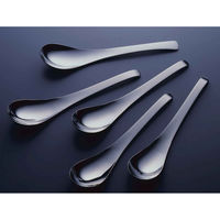 下村企販 レンゲスプーン 18cm ステンレス 5本組 436328 1個（直送品）