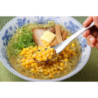 下村企販 レンゲスプーン 穴あき 18cm ステンレス 5本組 436329 1個（直送品）