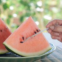 下村企販 種取り ママクック 種とりステッキ 食洗機対応 日本製 440736 1個（直送品）