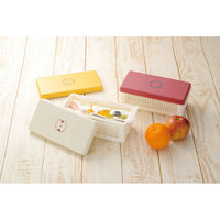 宮本産業 サンドイッチケース フルンサンドイッチケース L オレンジ 452064 1個（直送品）