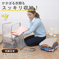 アストロ 衣類収納バッグ クリア 112-09 1枚（直送品）