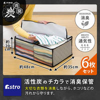 アストロ 活性炭衣類整理袋 6枚組 171-11 1セット(6枚)（直送品）
