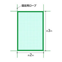 アストロ 養生グリーンネット 2x3m 530-23 1枚（直送品）
