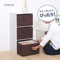 アストロ 収納ボックス ブラウン 606-66 1個（直送品）