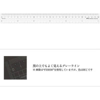 ファーバーカステル 両目盛直定規 30cm FE 6130 1個（直送品）