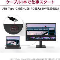 LG Electronics Japan  27インチ 液晶ディスプレイ(1920x1080/IPS) 27MS530B-B（直送品）