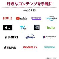 LG Electronics Japan  34インチ 曲面型ウルトラワイドスマートモニター(3440x1440) 34SR65QC-W（直送品）