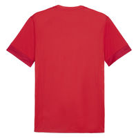 PUMA(プーマ) サッカー プラクティスシャツ teamGOAL ゲームシャツ XL プーマ　レッド 706362 1枚（直送品）