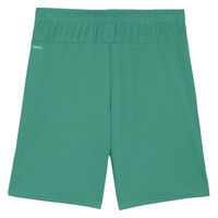 PUMA(プーマ) サッカー プラクティスパンツ teamGOAL ゲームパンツ L 05 706377 1枚（直送品）