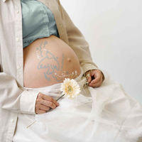 東洋ケース マタニティフォト NICE to MEET マタニティフォトシール バード 413063 1個（直送品）